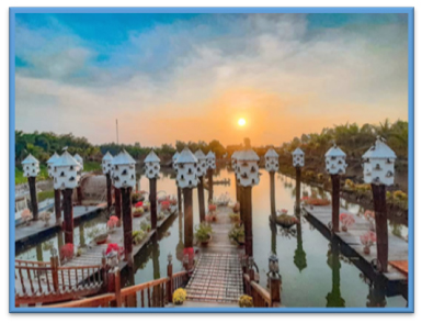 Description: Có một thành phố Bồ Câu thu nhỏ giữa lòng Trà Sư